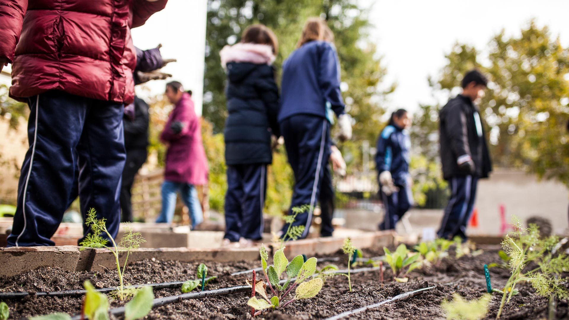 Community Development