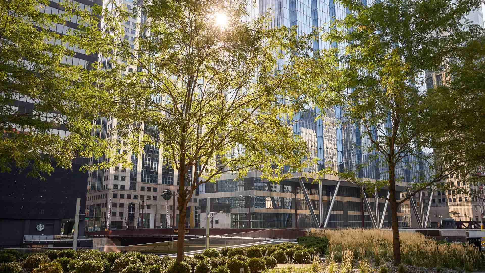 Urban Design and Development / Redevelopment