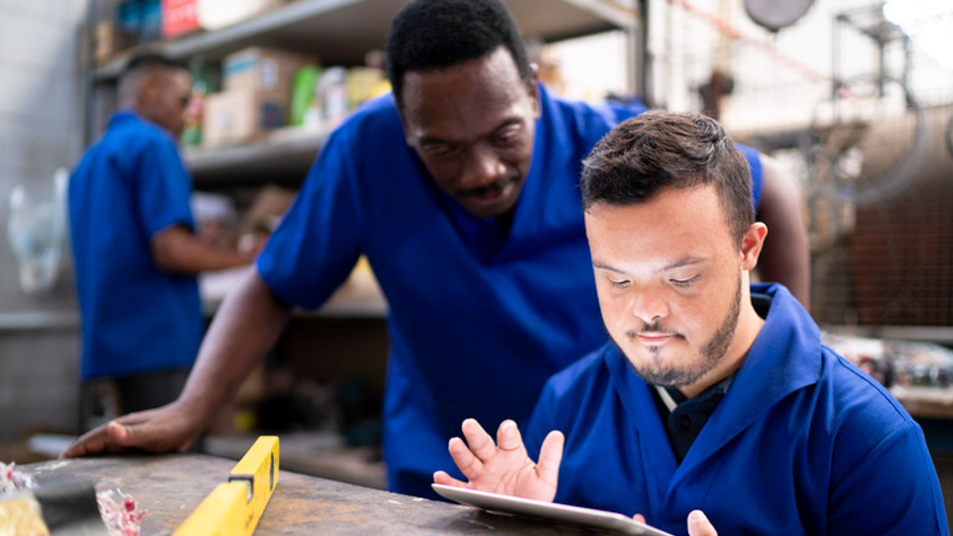 Workforce Development Supports for Individuals with Disabilities in the State of New Jersey: An Overview of Best Practices